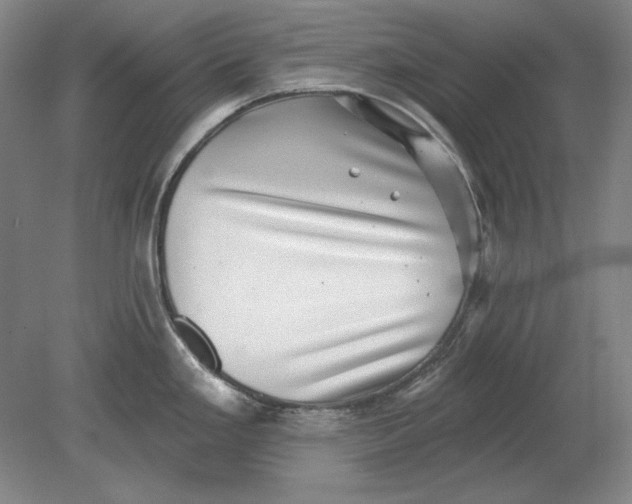 X0000080721293200701021044