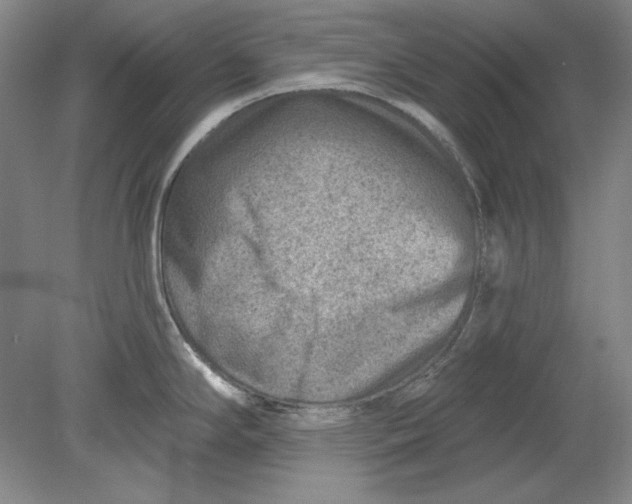 X0000080721294200701021044