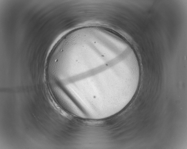 X0000080721296200701021044