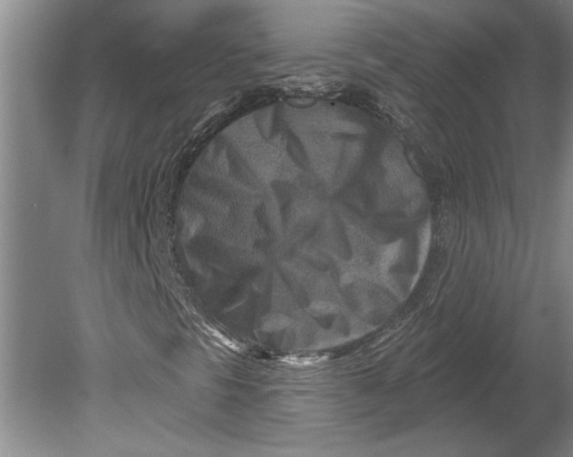 X0000080721297200701021044