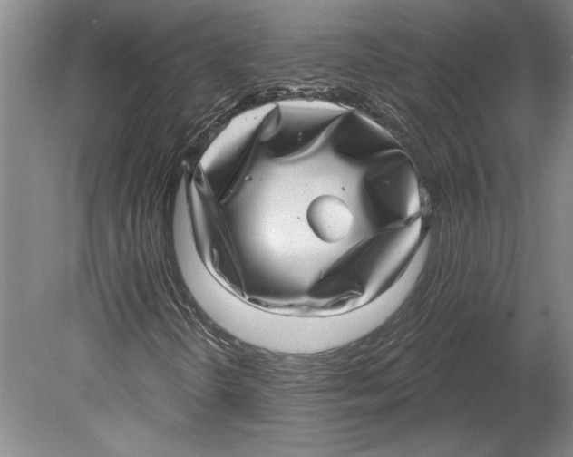 X0000080721298200701021044