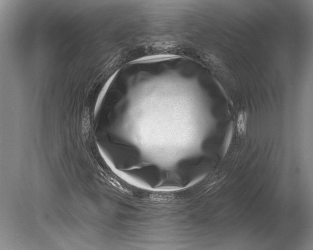 X0000080721299200701021044