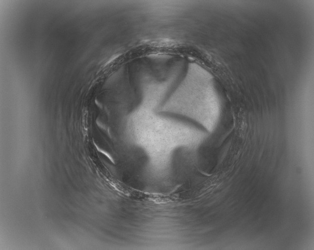 X0000080721301200701021044