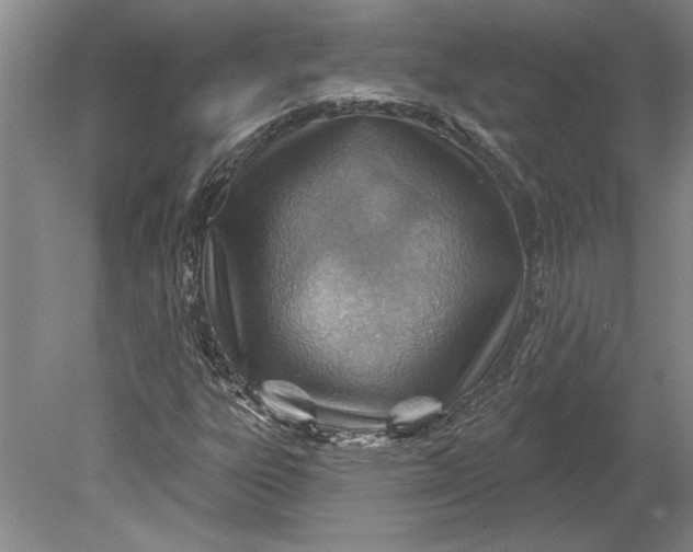 X0000080721303200701021044