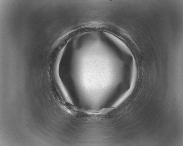 X0000080721304200701021044