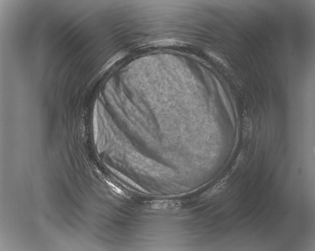 X0000080721305200701021044