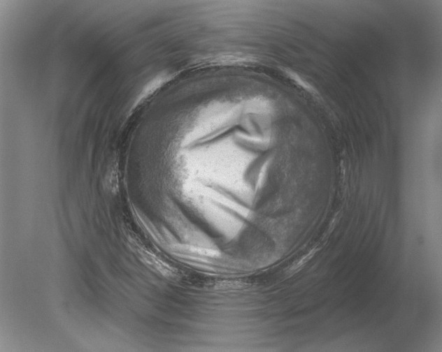 X0000080721306200701021044