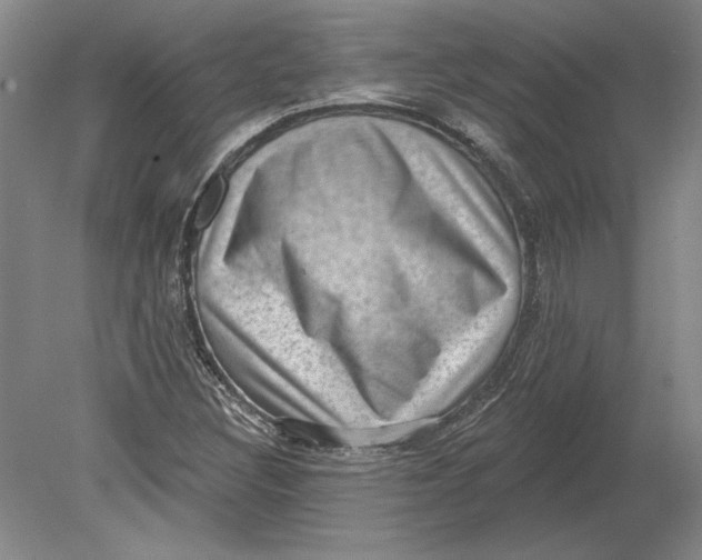 X0000080721308200701021044