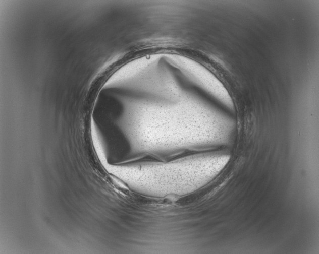 X0000080721309200701021044