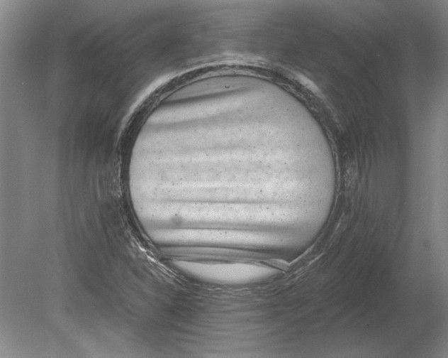 X0000080721310200701021044