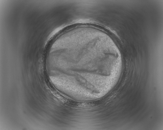 X0000080721311200701021044