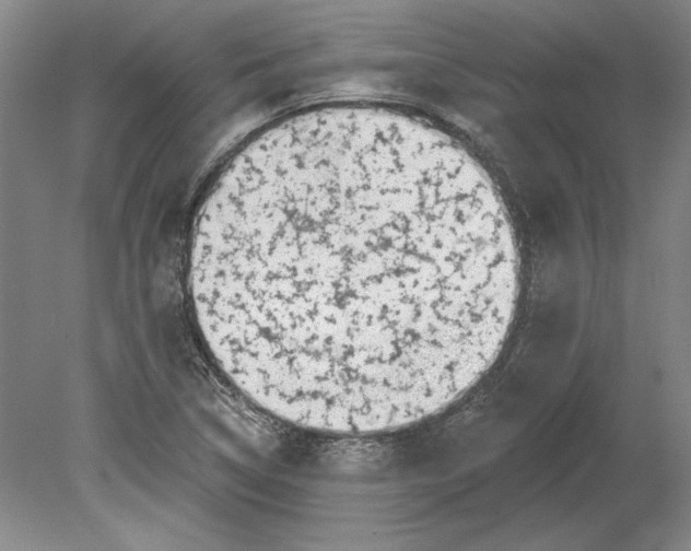 X0000080721314200701021044