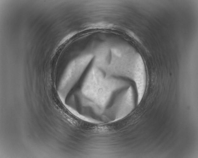 X0000080721315200701021044