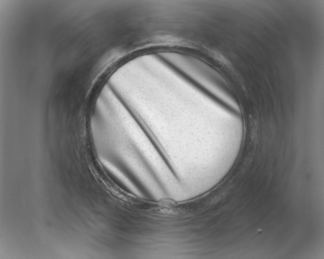 X0000080721318200701021044