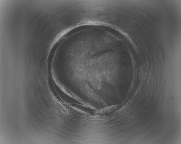 X0000080721319200701021044