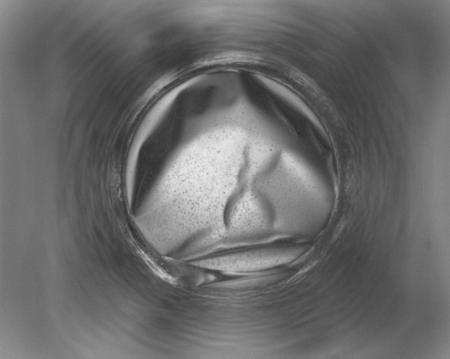 X0000080721321200701021044