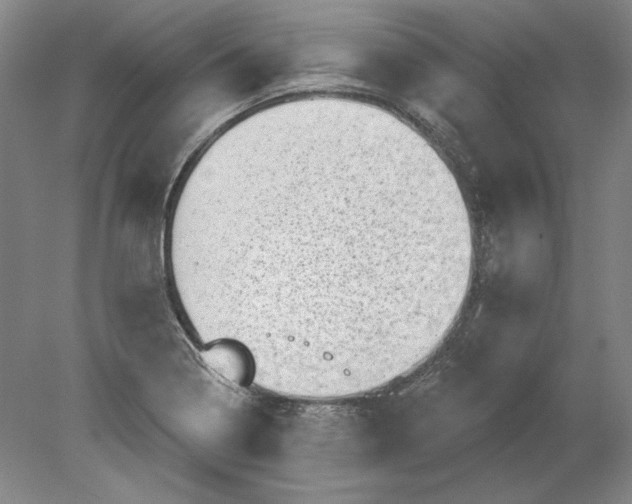 X0000080721322200701021044