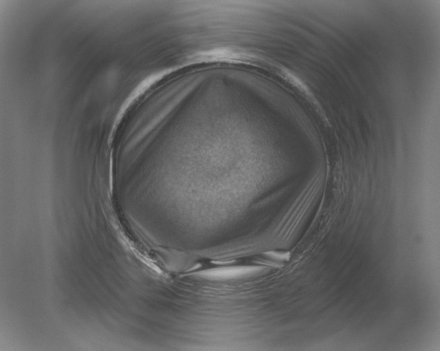 X0000080721323200701021044