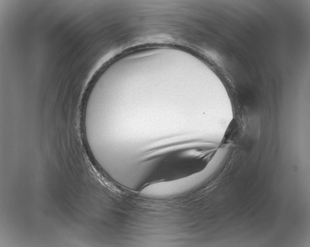 X0000080721326200701021044