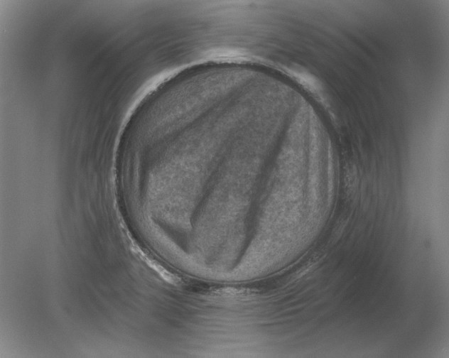 X0000080721327200701021044