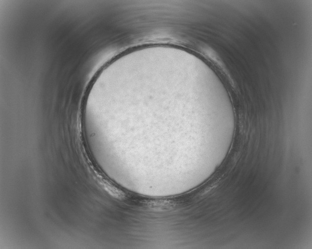 X0000080721328200701021044