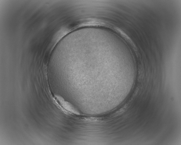 X0000080721329200701021044