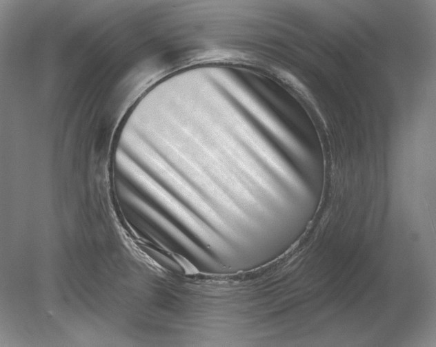 X0000080721330200701021044