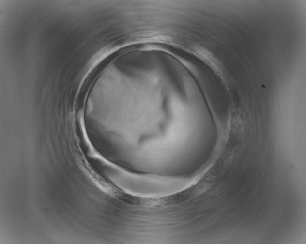 X0000080721332200701021044