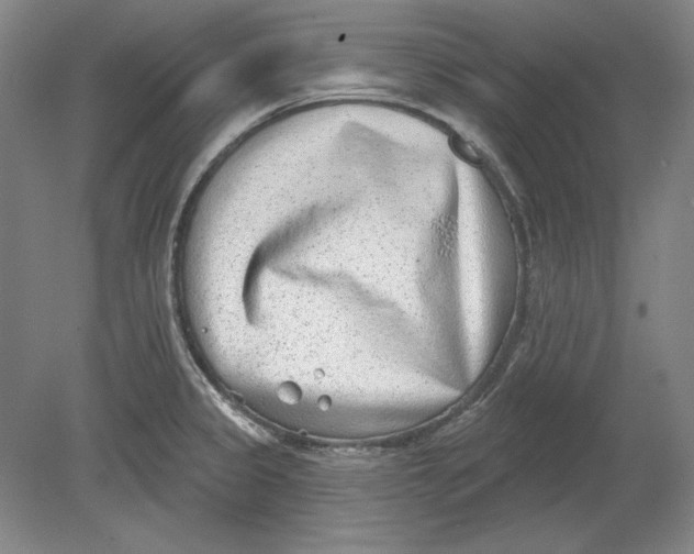 X0000080721333200701021044