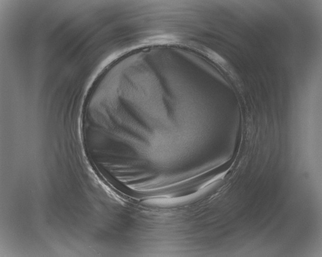 X0000080721334200701021044