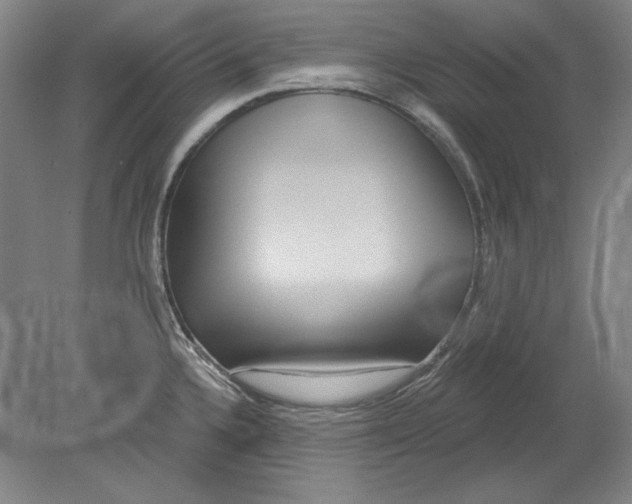 X0000080721336200701021044