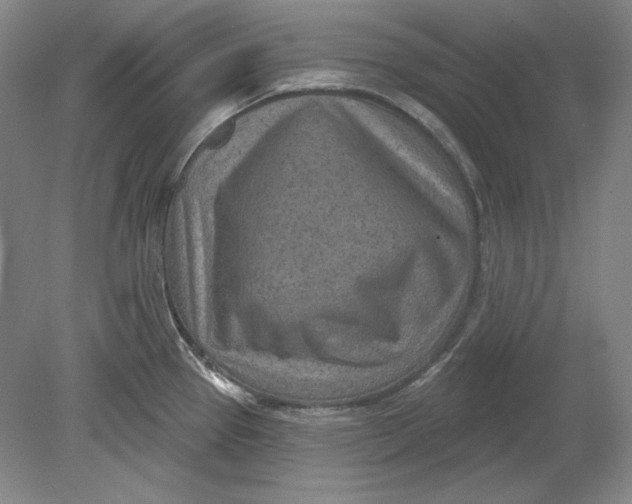 X0000080721337200701021044