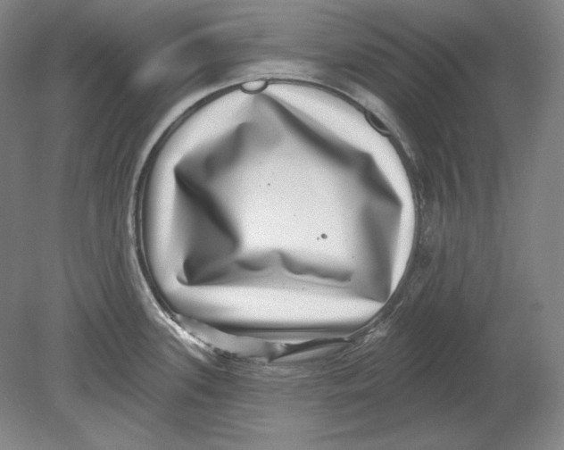 X0000080721339200701021044