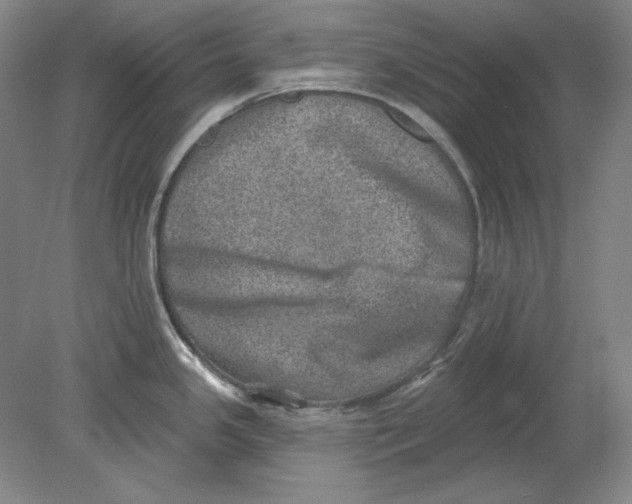 X0000080721341200701021044