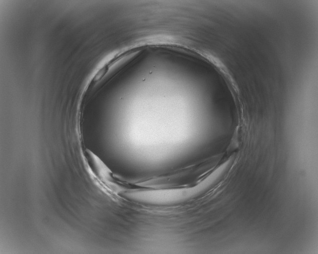 X0000080721342200701021044