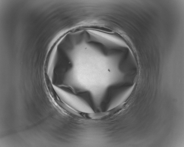 X0000080721344200701021044