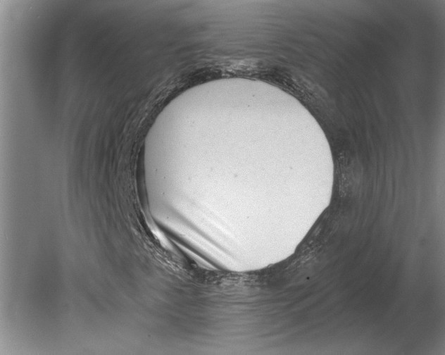 X0000080721345200701021044