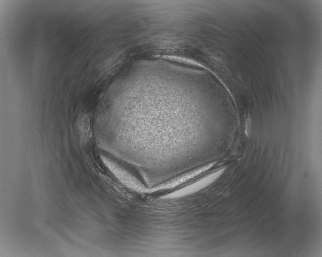 X0000080721347200701021043