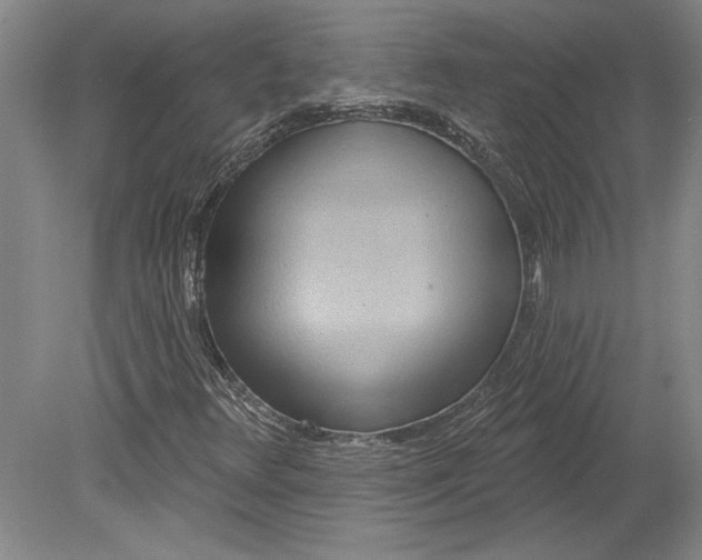 X0000080721348200701021043