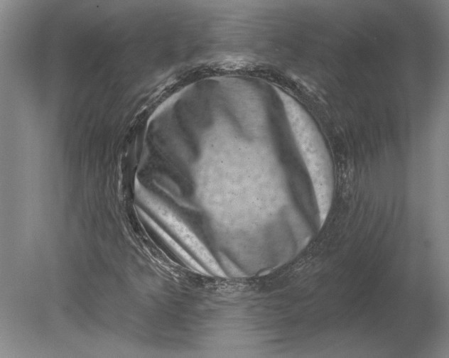 X0000080721349200701021043