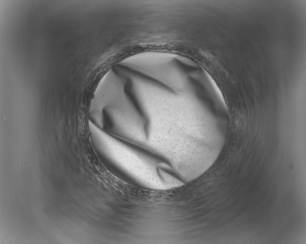 X0000080721350200701021043