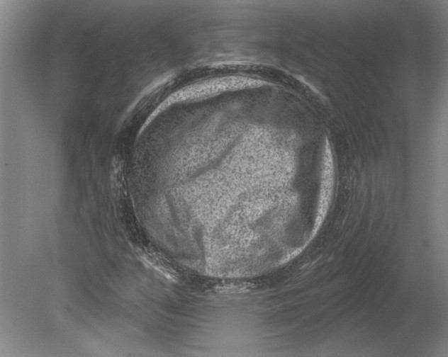 X0000080721351200701021043