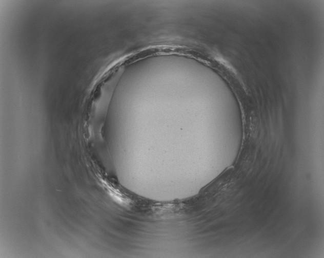 X0000080721352200701021043