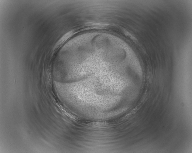 X0000080721354200701021043