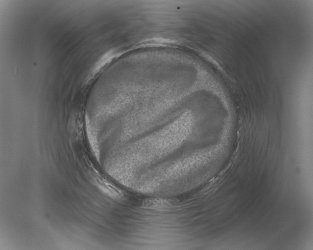 X0000080721355200701021043