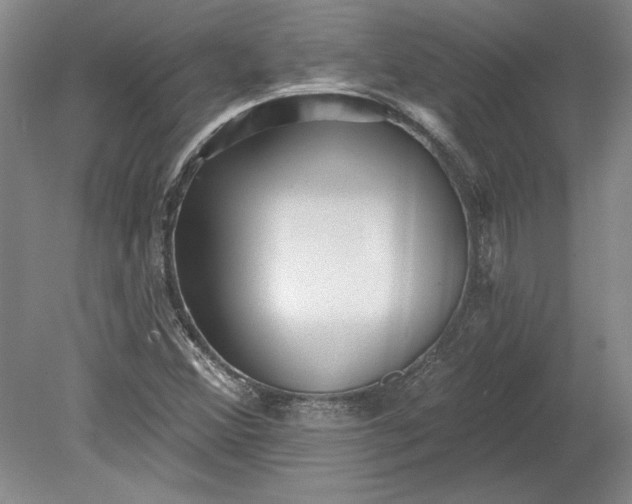 X0000080721356200701021043