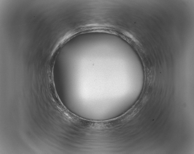 X0000080721357200701021043