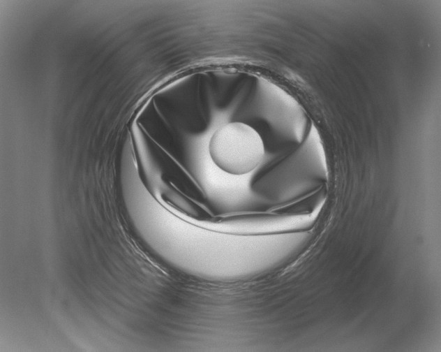 X0000080721361200701021043