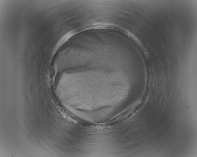 X0000080721362200701021043