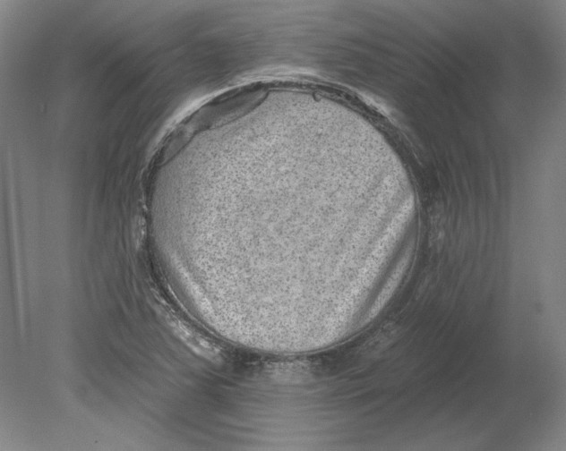 X0000080721363200701021043